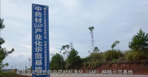 泰寶中醫藥健康養生產業園
